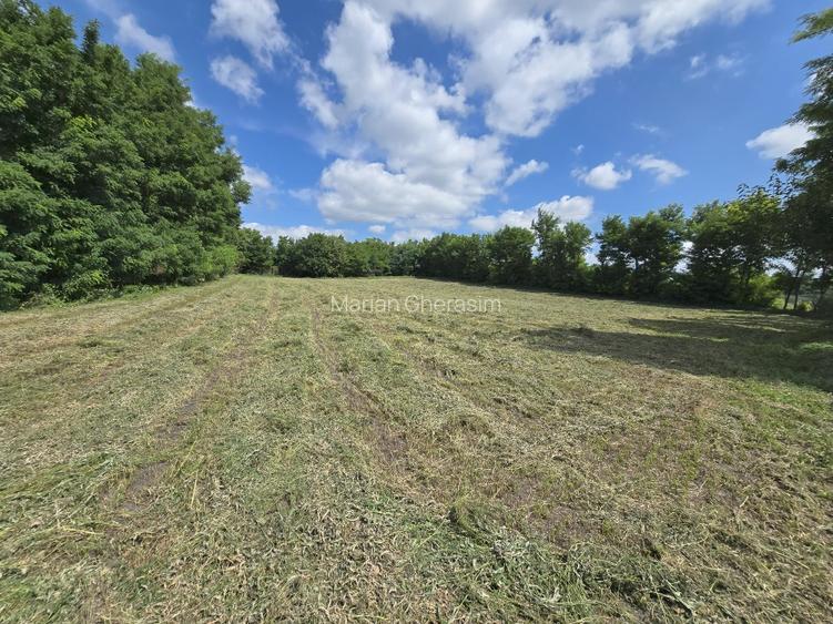 Vând teren intravilan 4.725 mp – comuna Roma, jud. Botoșani - 5