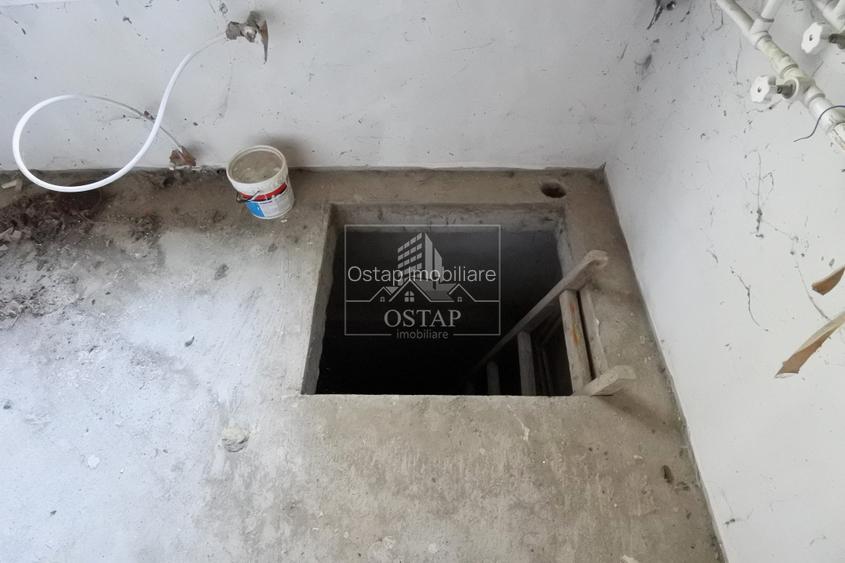 Șerbanesti - strada Siretului - vila la gri - P+M - teren 1.000 mp - 11