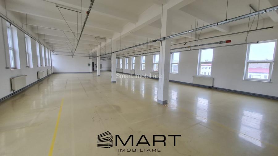 Spatii de inchiriat &acirc; Depozitare | Productie | Birouri Cisnadie - 3