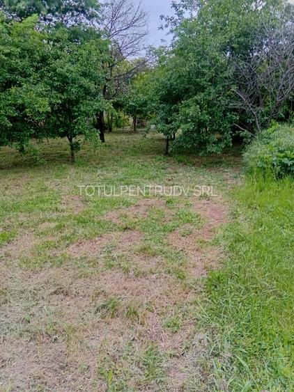 Casa individuala,  teren 1000mp  cu centrala termica pe gaz - 14