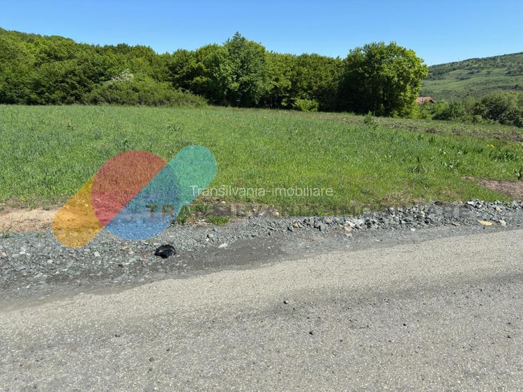 Teren Extravilan de 2.900 mp la Limita Intravilanului – Popești, Cluj - 3