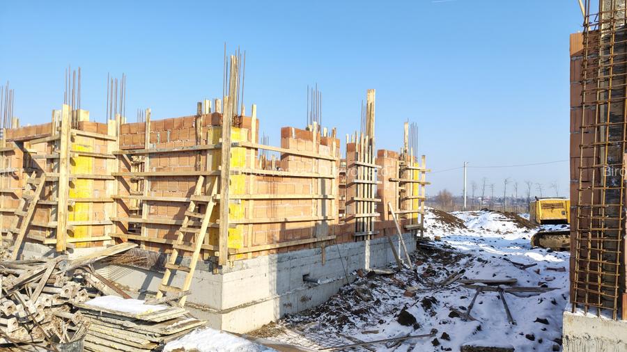 Vile individuale padurea Rosu  - 16