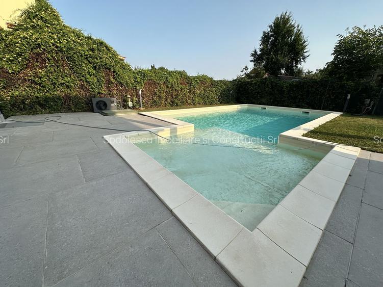 Proprietate cu piscina Dumbravita - 2