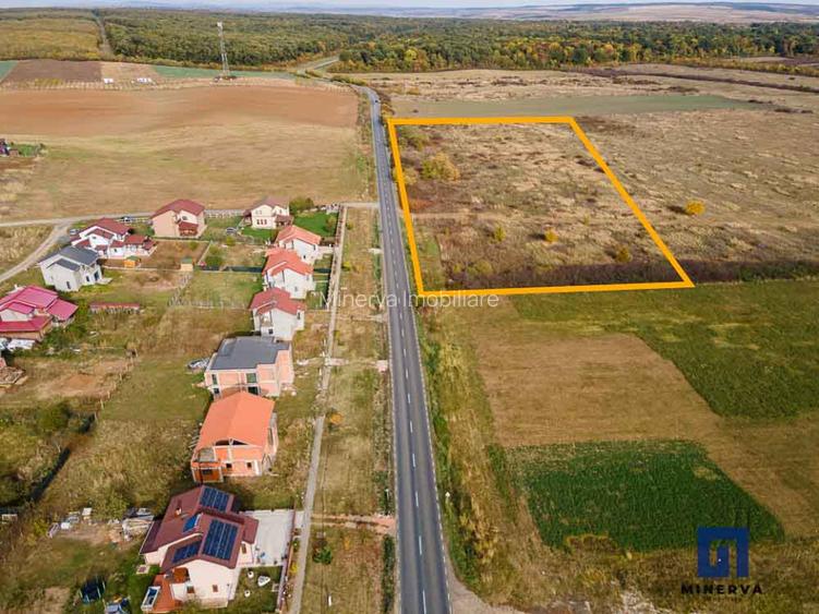 Teren ideal ca investitie, 19000 mp, in Pischia pe DJ691, comision 0 - 5