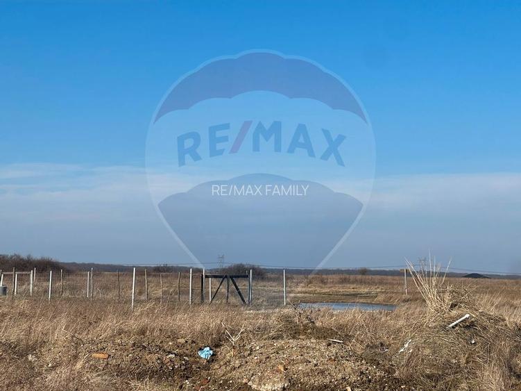 Teren Cihei / 1.632mp/ langa Fundatia Nesu - 6