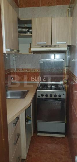 Apartament 4 camere, 111 mp, zona Calea Bucuresti - Mc Donald’s - 8