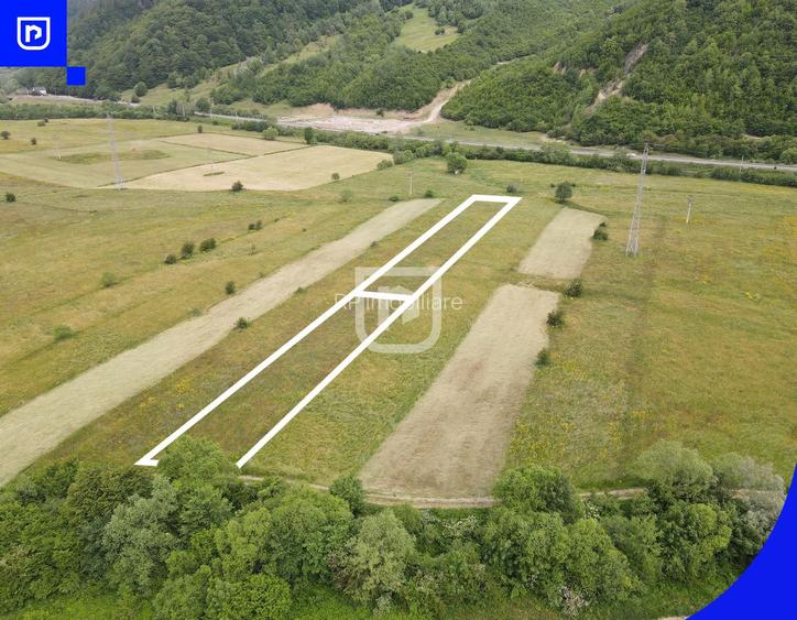 Teren Voroneț | Gura Humorului | Suceava - Bucovina - 2832mp - 2