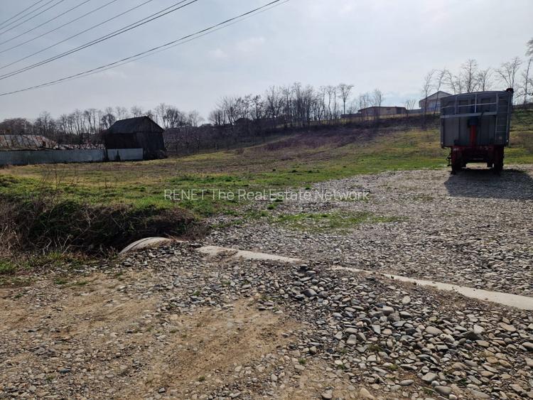 Teren - Roman  -Trifesti  - 4