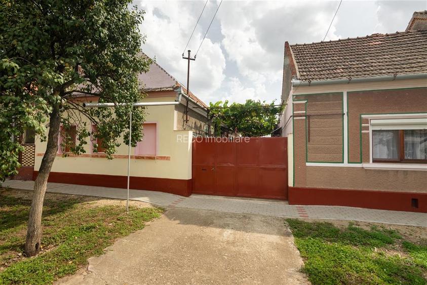Teren mare cu 2 case si front la 2 strazi in Tamaseu - 2
