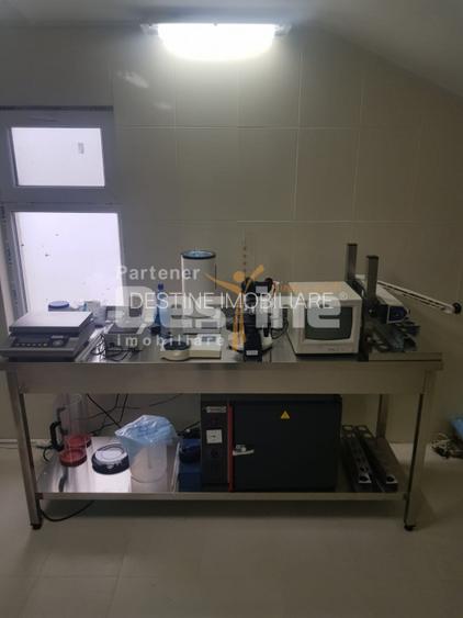 AFACERE LA CHEIE  FERMA DE  PORCI - 4