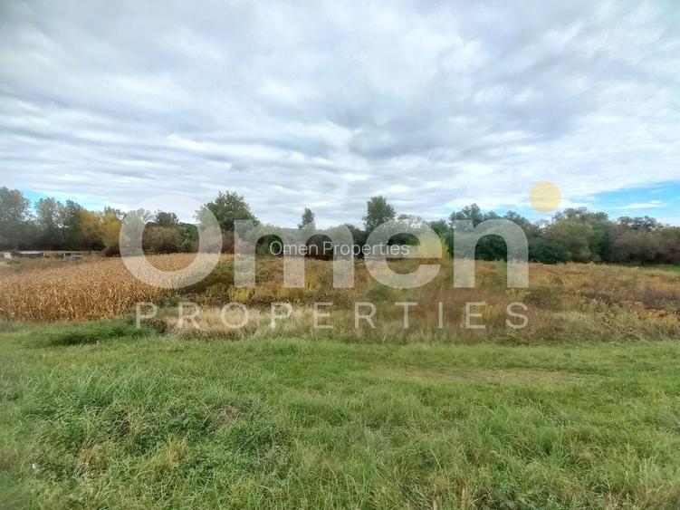 Teren extravilan de 7 arii de vânzare în Cătălina – ideal pentru casă de vacanță - 2