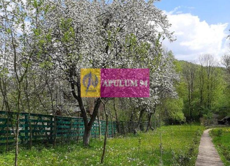 Casă de vânzare în Provița de Jos - 47