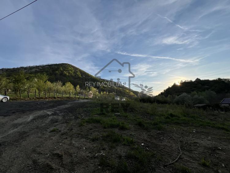 Teren la poalele Cetății Cisnadioarei de vânzare/1250 mp - 8