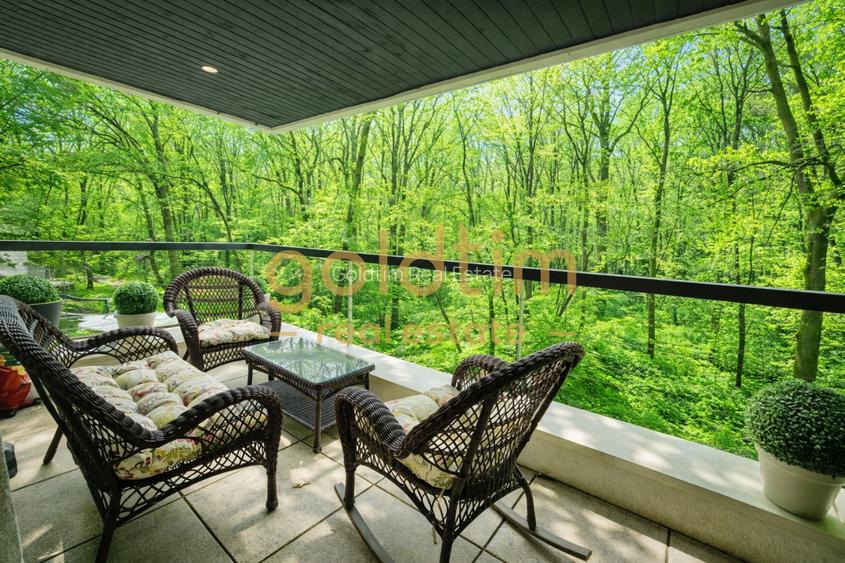 VEDERE LIBERA/PADUREA BANEASA/PIPERA/FORREST HILL/BOXA INCLUSA - 2