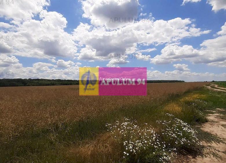 Teren 715mp în Snagov lângă Equestria - 29