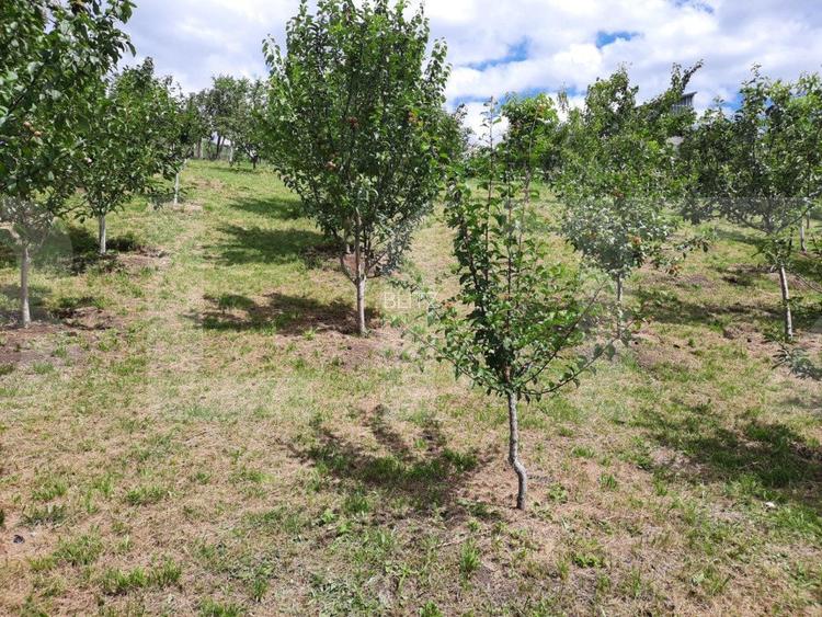 Casa si teren 3450mp, panorama superba asupra orasului - 7