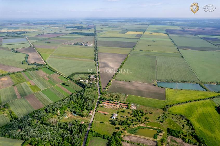 Cladire industriala de vanzare cu potential 3,5 ha in Batania - 16