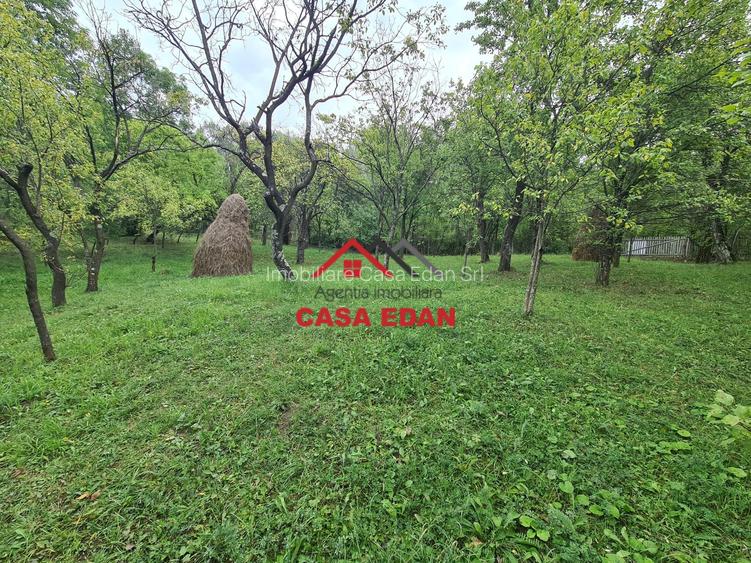 Teren intravilan in Sotrile--5991mp--10e - 9