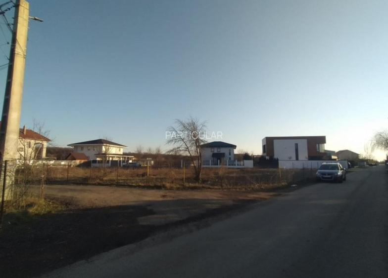 1570 mp Teren de vanzare in Mogosoaia - 4