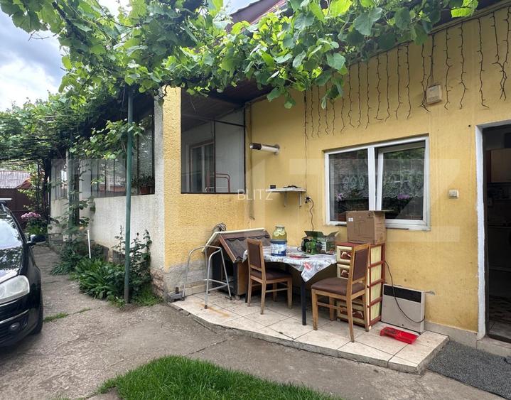 Casa individuala, curte si gradina, Harman - 13