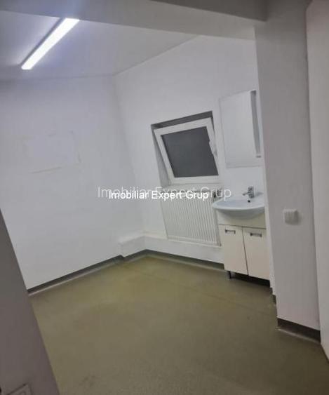 Dacia-Piata Gemeni - 4