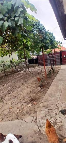 RECO Casa cu teren mare in Diosig - 11