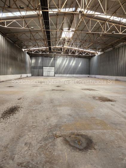 Hale depozit-productie industriala la 20 km de TM - 9