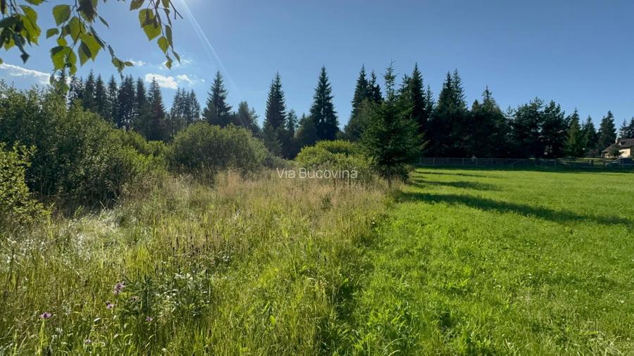   12700 mp investitie rezidentiala- turistica- medicala Tinovul Mic/Șaru Dornei  - 11