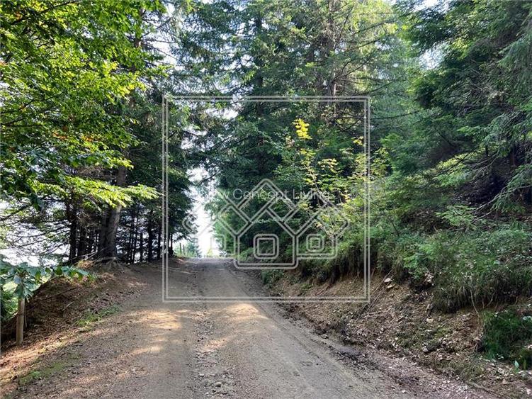 Teren de vanzare - 11200 mp - extravilan - zona turistica - 6