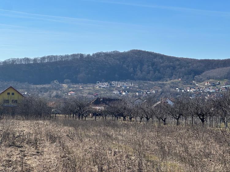 vânzare – 2.581 mp, zonă liniștită, aproape de Curtea de Argeș - 2