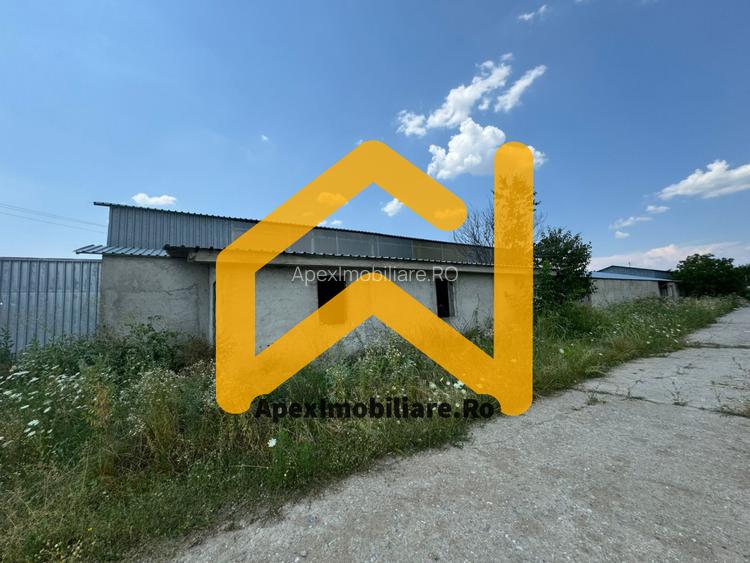 Hale Industriale de Vânzare Baicoi – 1100 mp + 800 mp, teren 5500 mp - 9