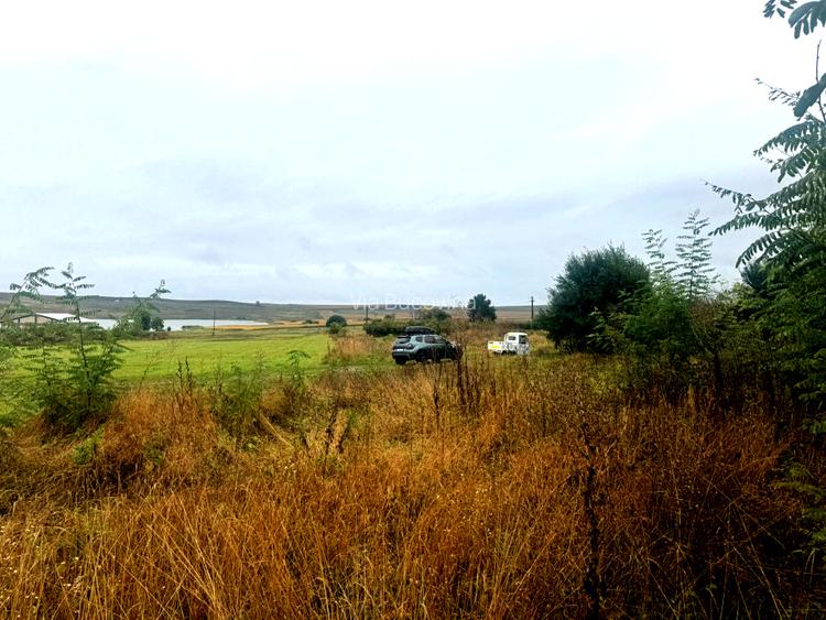 Vanzare 10.000 mp teren Liteni Suceava- la strada -potrivit proiect fonduri - 15