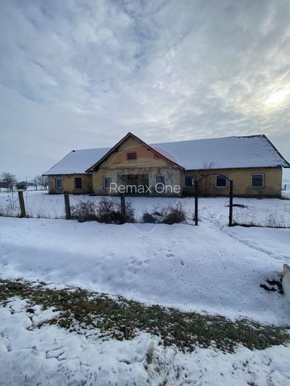 Teren Hoghilag/Dumbraveni Strada Principala - 2