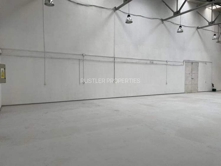 Hala de inchiriat  Ștefanești - DNCB - 5