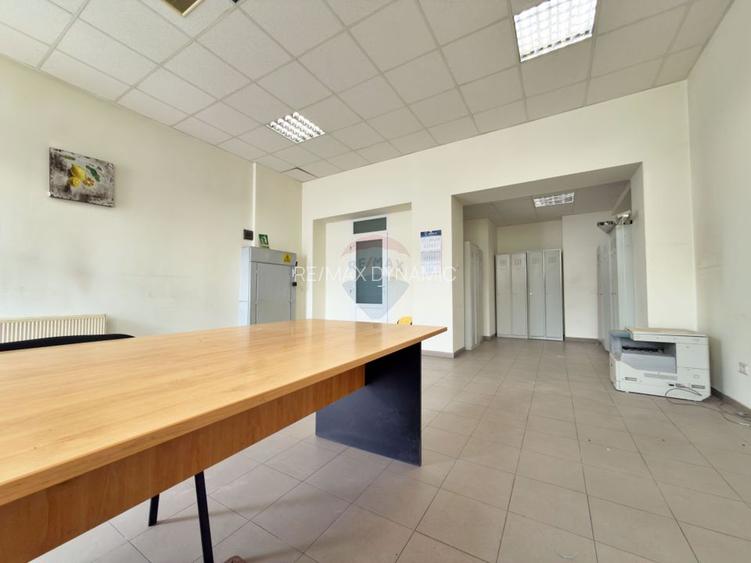 Spațiu industrial de vânzare în Aradul Nou / Arad - 13