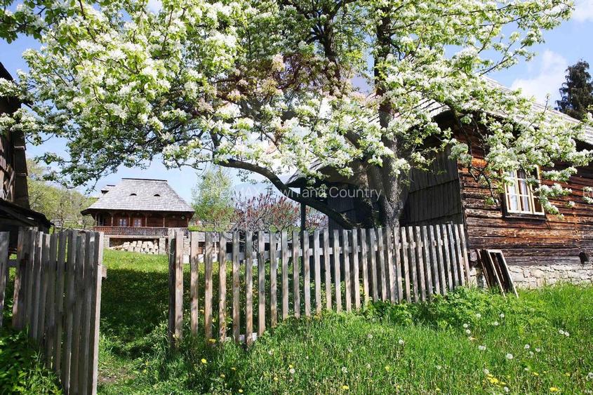 Vânzare ansamblu de 5 căsuțe tradiționale Maramureș/ Botiza - 9