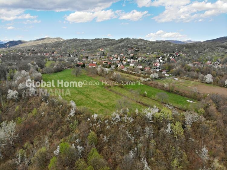 Mountain Plateau - 23.345 SQM - Exclusive Estate | Jud Prahova - Valea Prahovei - 2