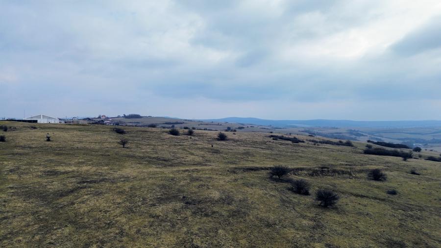 Teren agricol extravilan de vânzare – 67.500 mp – Dealul Daii, Sibiu