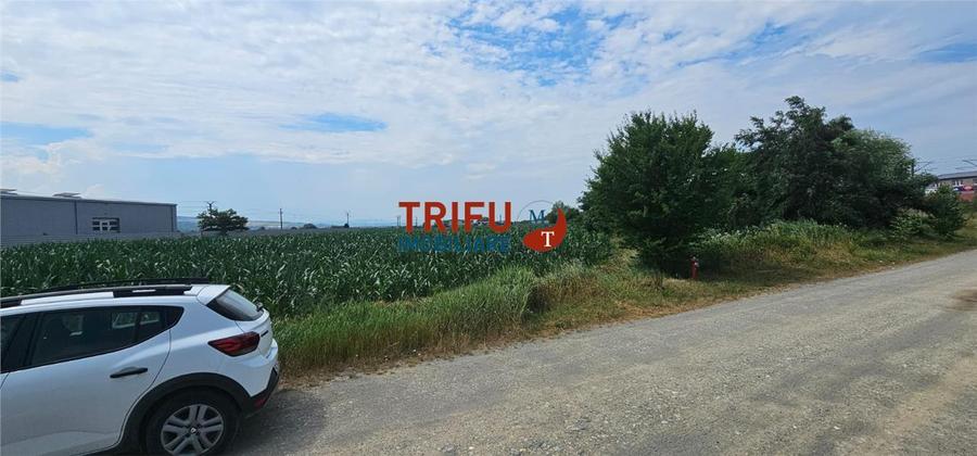 Teren Intravilan Soseaua De Centura !3500mp