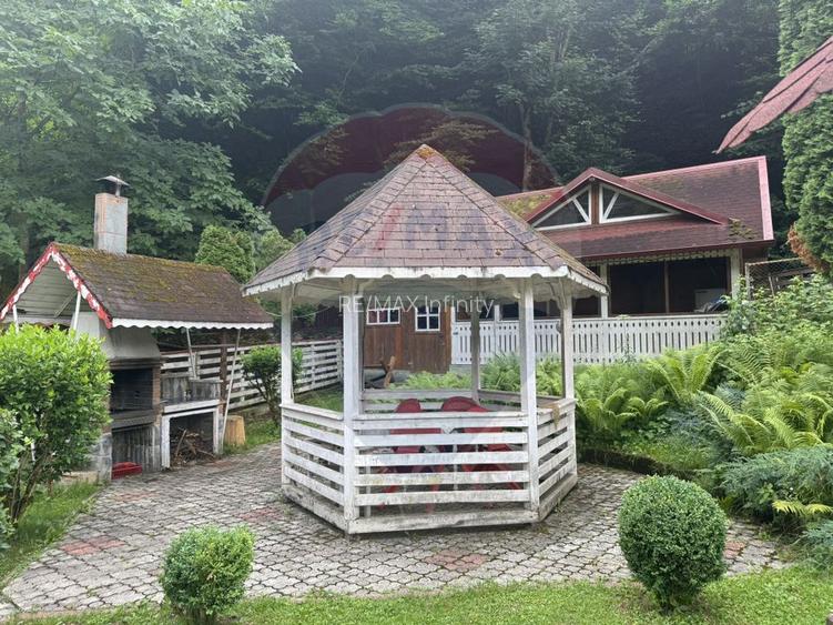 Cabana autentica de munte Frasinet - Baisoara 600 mp teren - 13