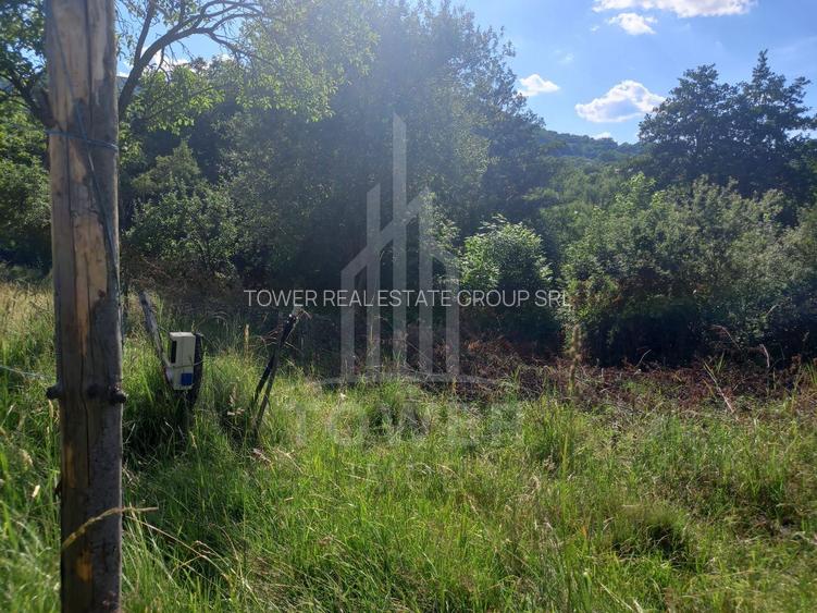 Teren în Fântânele – 3.673 mp, pârâu si cadru natural  deosebit - 8
