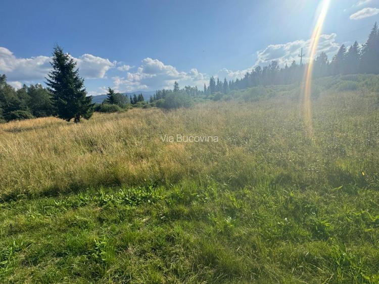   12700 mp investitie rezidentiala- turistica- medicala Tinovul Mic/Șaru Dornei  - 10