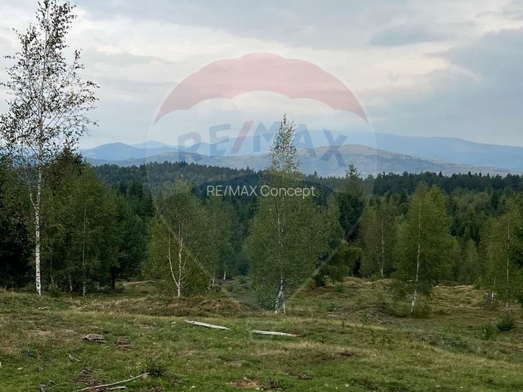 Teren extravilan parcelabil Călățele Pădure, zona Dealu Negru - 6