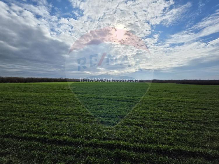 Vânzare teren agricol 12 ha, Giarmata - Jud. Timiș - 2
