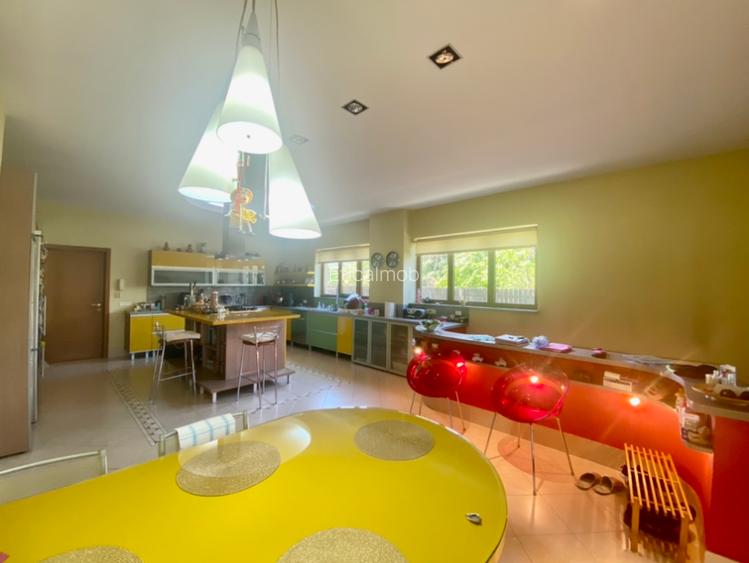 Vila de lux lângă Curtea Domnească – investiție premium Târgoviște, teren 1.700 - 22