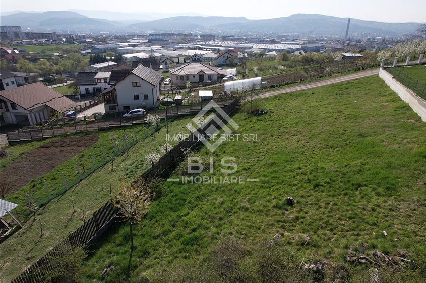 Teren de vanzare 10 ari - zona LEONI - 6