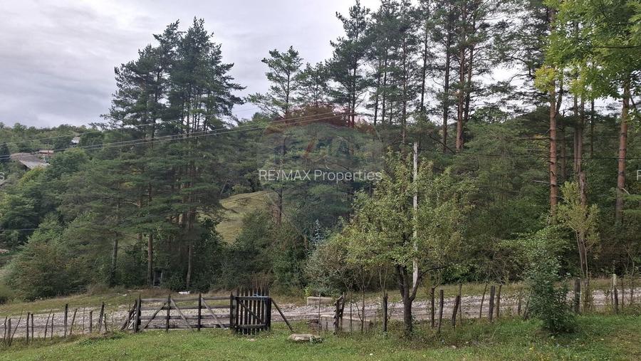 Teren cu priveliste spectaculoasa, 4000mp, la 18km de Sinaia - 11