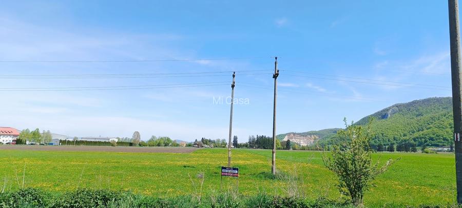 Teren industrial in Brasov-zona Magurele - 4