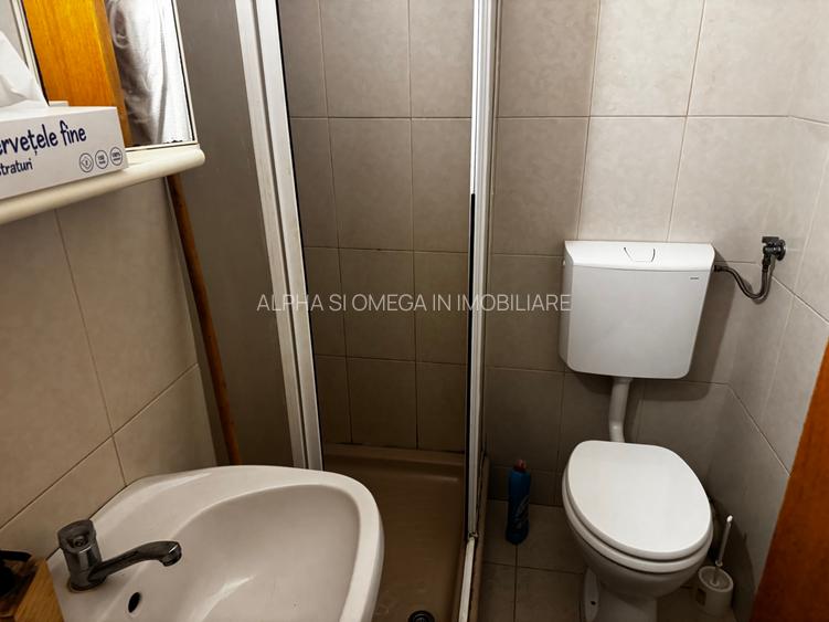 Parter, ideal investitie - 13