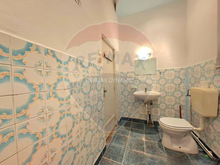 Proprietate centrală Arad,  cotă teren mare, acces auto - 16